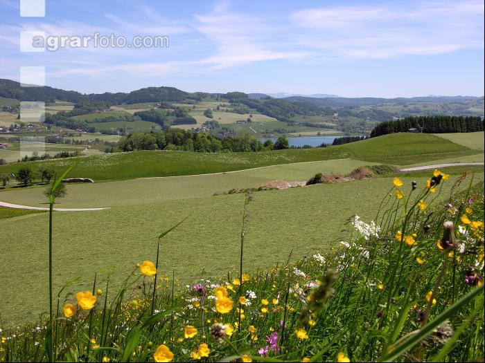 Salzkammergut 1