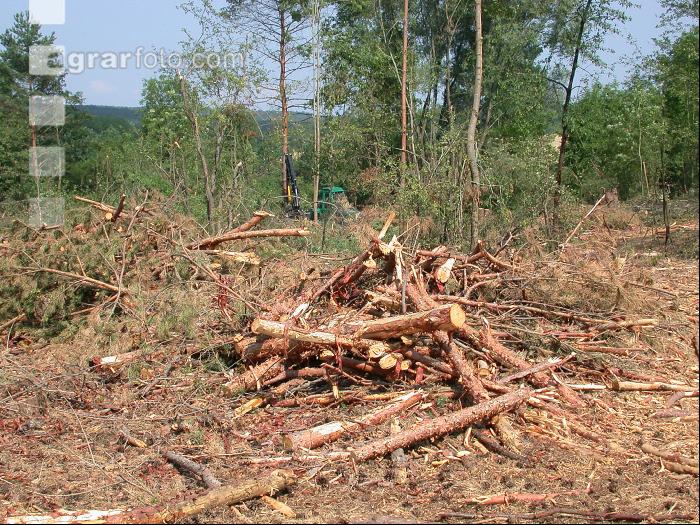 Nach Harvester