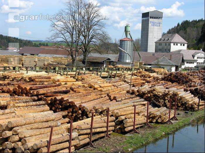 Sägewerk 3