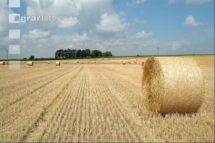 Rundballen Stroh 2
