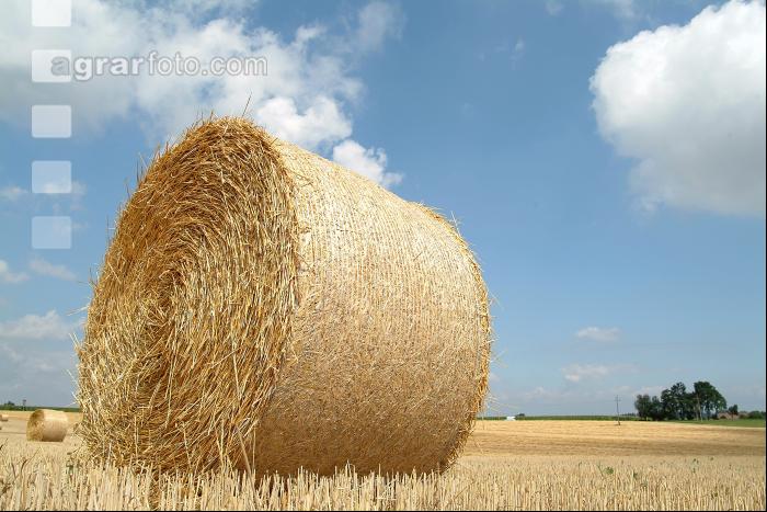 Rundballen Stroh 3