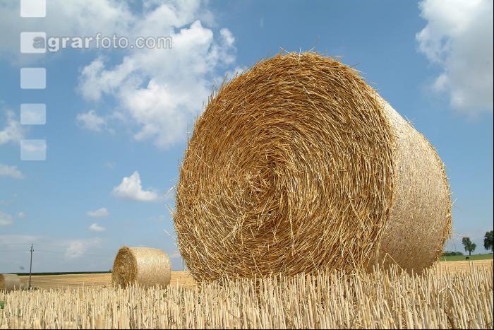 Rundballen Stroh 5