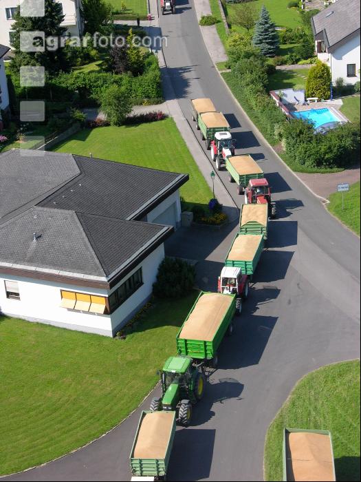 Weizen Ablieferung 62