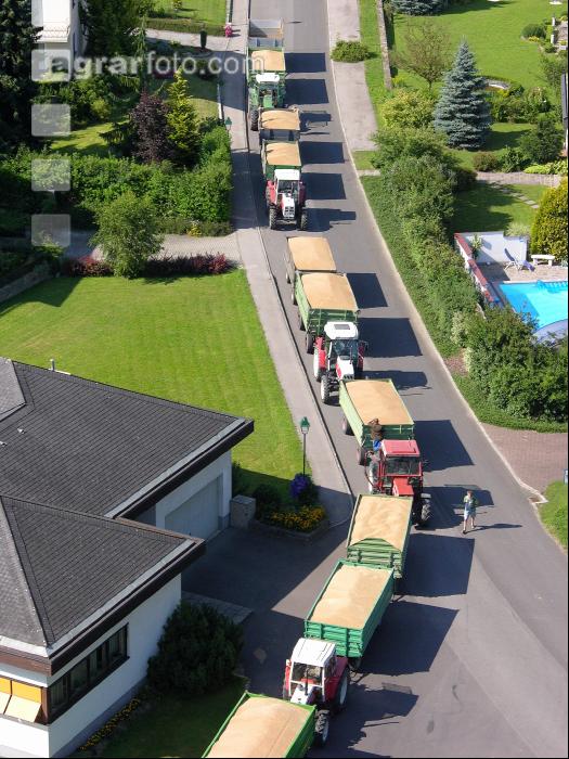 Weizen Ablieferung 59