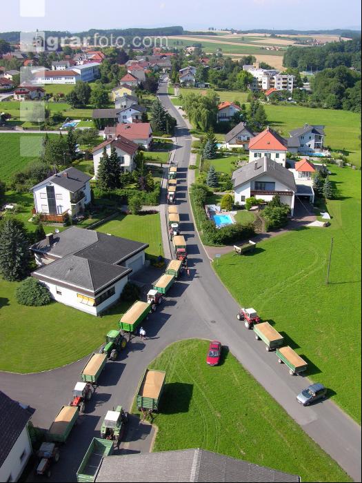 Weizen Ablieferung 58