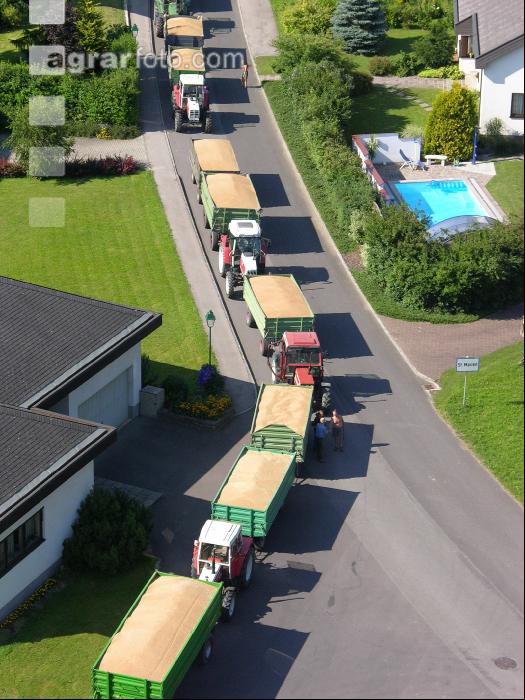 Weizen Ablieferung 57