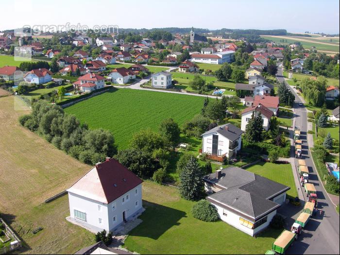 Weizen Ablieferung 56