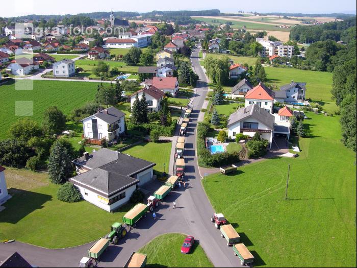 Weizen Ablieferung 54