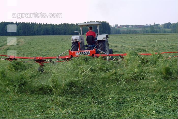 Grünfutter zetten 34