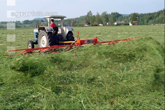 Grünfutter zetten 38