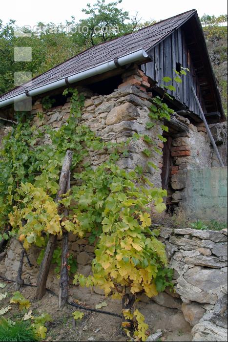 Wachau 3