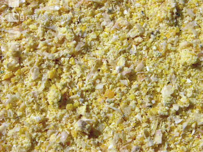 Maiskornsilage 3