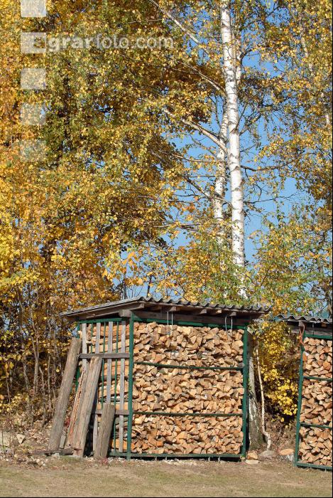 Brennholz 17