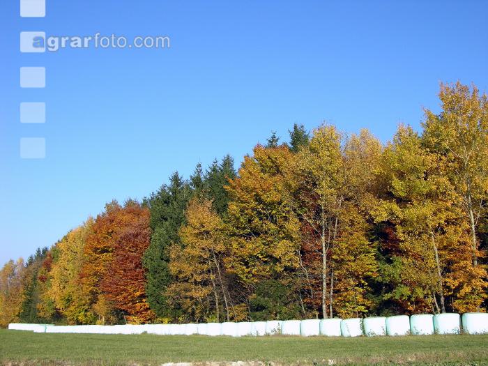 Siloballen Herbst 1