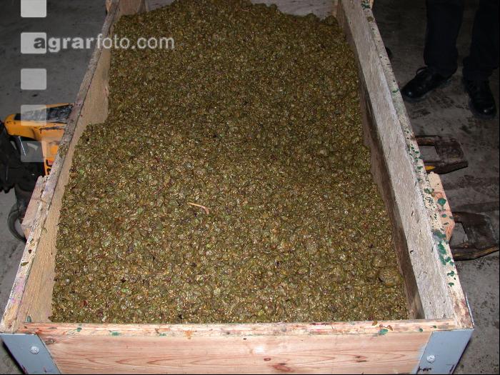 Weintrester 2