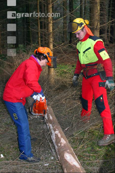Frauen im Forst 1