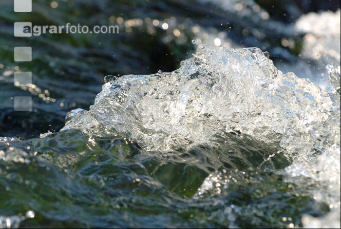 Wassergischt 3
