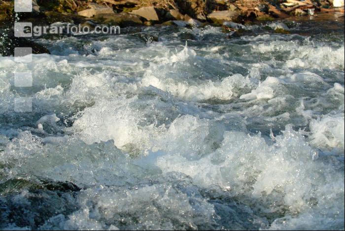 Wassergischt 4