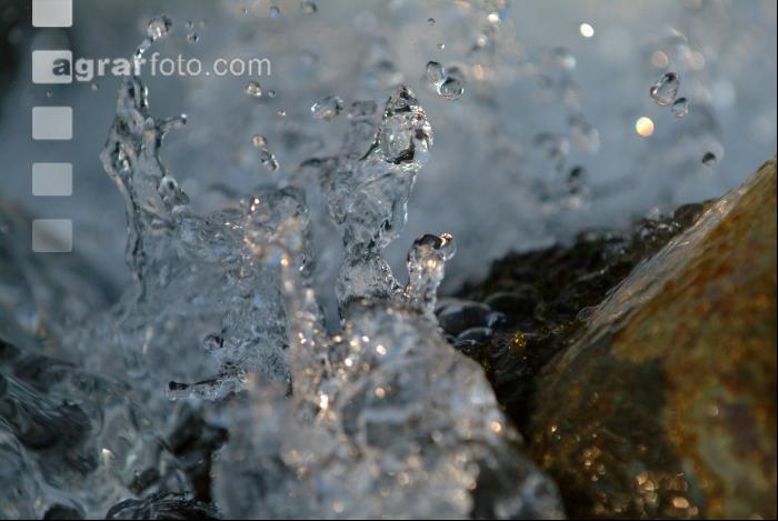Wassergischt 6