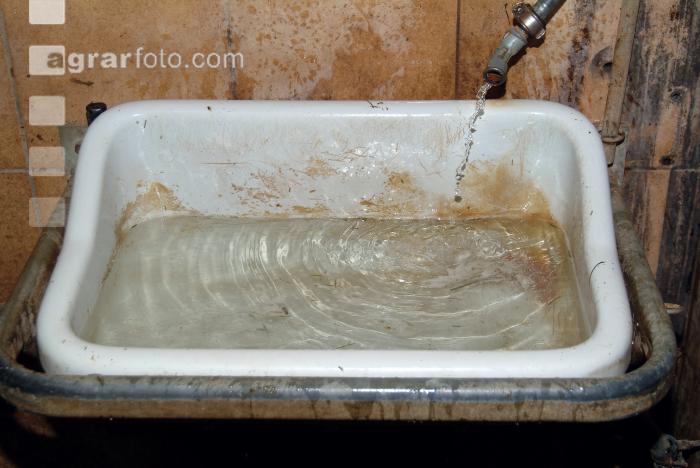 Wasser im Stall