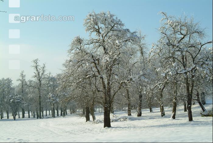 Verschneit 1