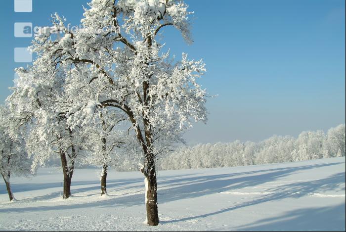 Verschneit 2