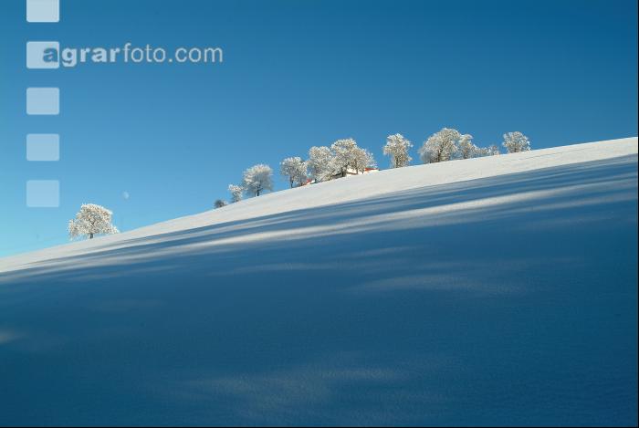 Verschneit 3