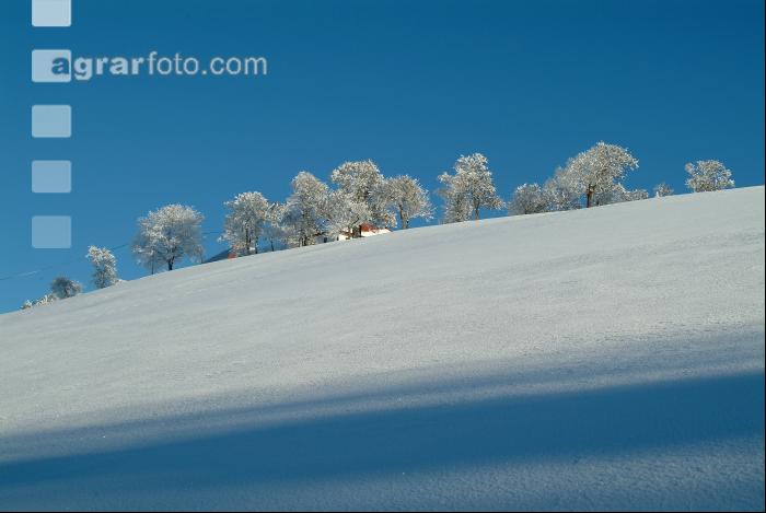 Verschneit 5
