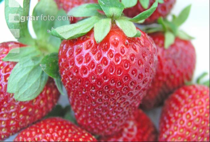 Erdbeeren 2