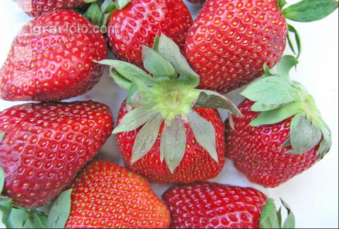 Erdbeeren 1