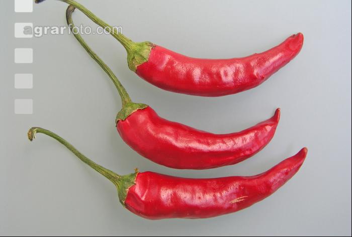 Pfefferoni 1