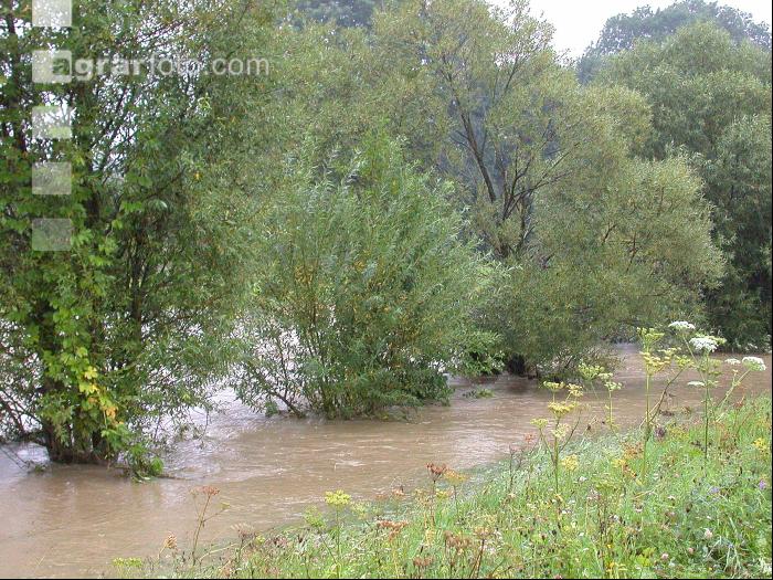Hochwasser 5