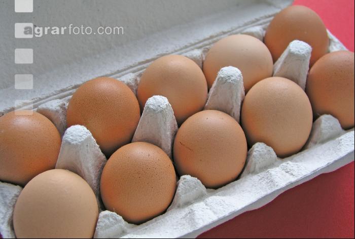 Eier 1
