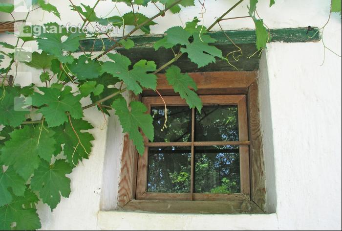 Kellerfenster