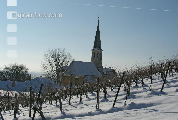 Gumpoldskirchen
