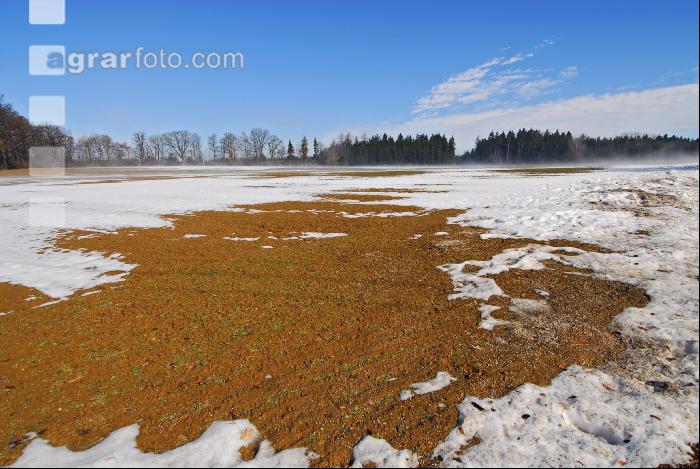 Schnee Schmelze 6