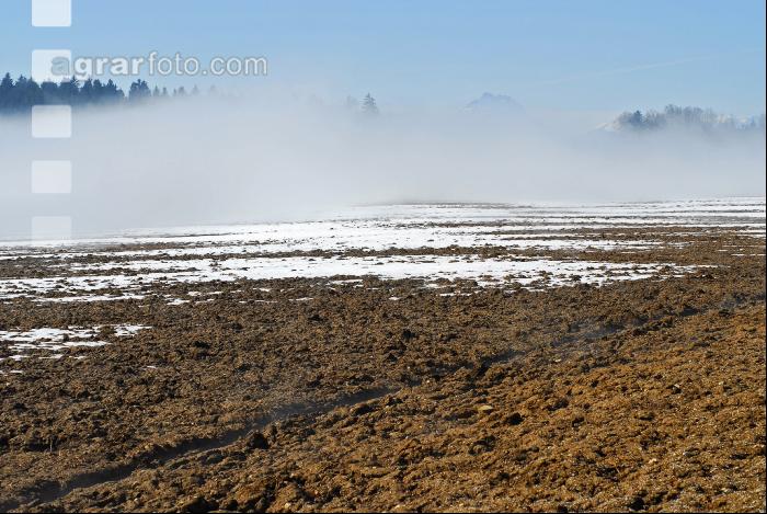 Schnee Schmelze 8