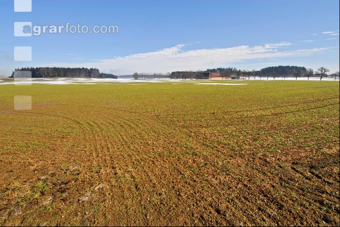 Schnee Schmelze 10