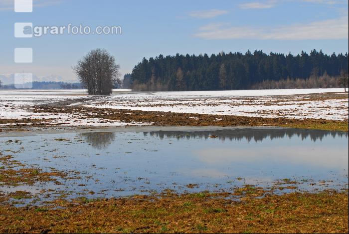 Schnee Schmelze 11
