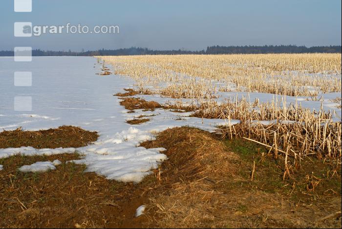 Schnee Schmelze 5