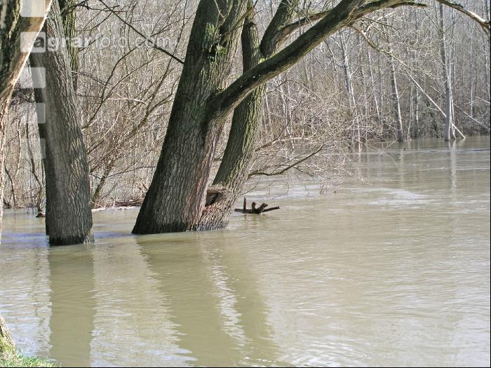 Hochwasser Donauau 1