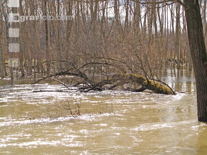 Hochwasser Donauau 2