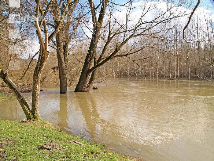 Hochwasser Donauau 8