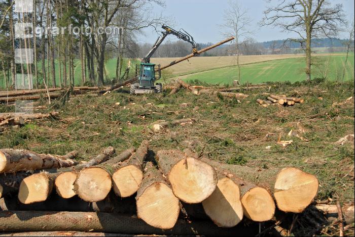 Forwarder 11
