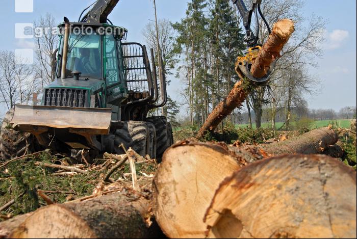 Forwarder 19