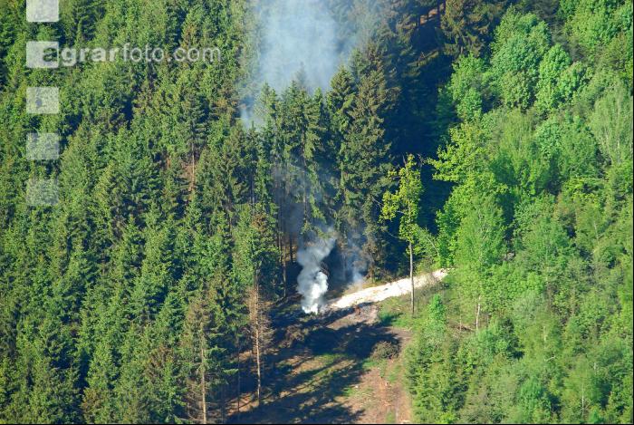Feuer im Wald 1