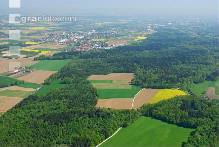 Mischwald Luft 2