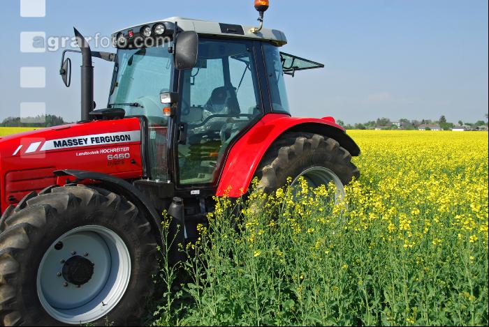 Rapsöl Traktor 1