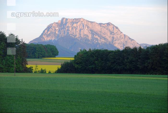 Traunstein