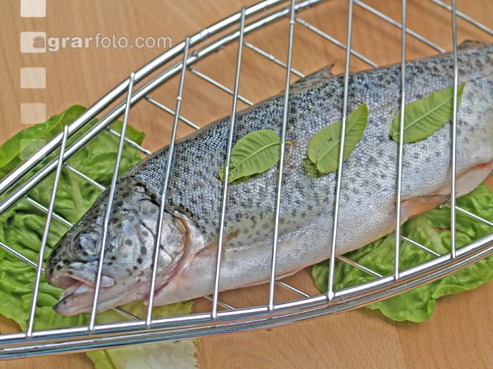 Fisch grillen 2
